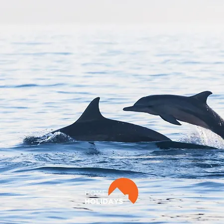 #058 T0 Oh Live By Holidays Appartement *