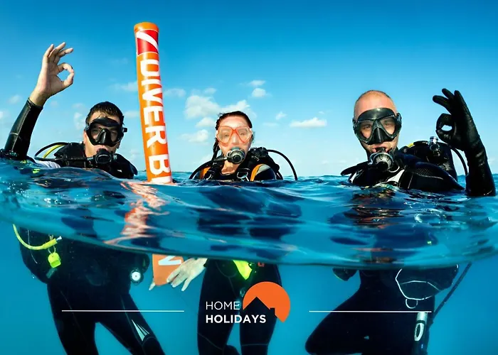 #058 T0 Oh Live By Holidays